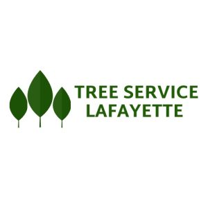Lafayette Tree Service Pros